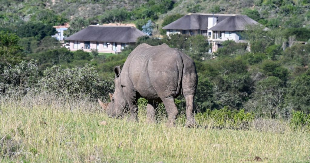 GARDEN ROUTE | Where beach meets best of the bush on Garden Route