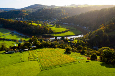 Parva Vineyard, Monmouthshire, Wales (Visit Monmouthshire)