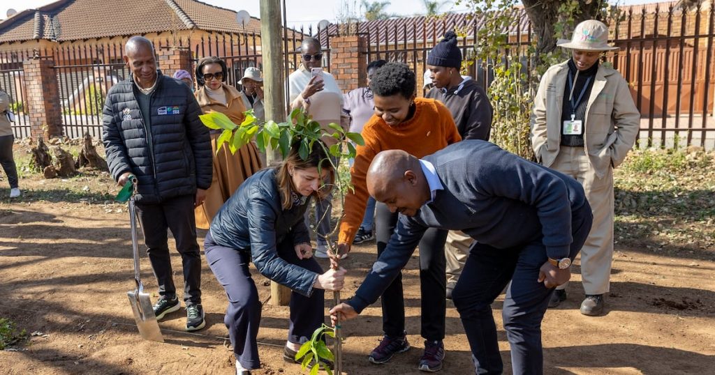 WATCH | Amazon invests R24m to restore nature and create jobs in Soweto