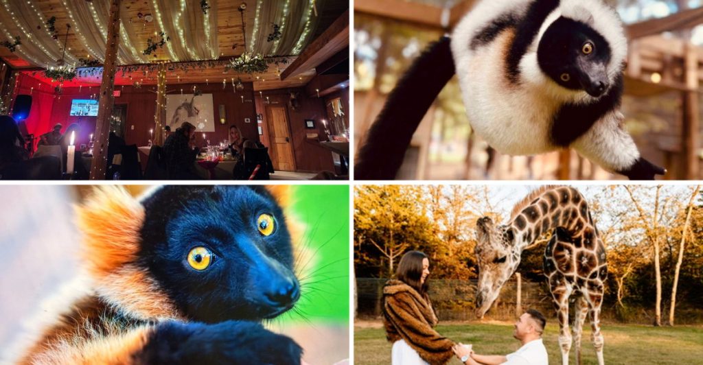 Unique Texas Restaurant Where You Can Enjoy A 5 Course Feast and Pet Exotic Animals Unique Texas Restaurant Where You Can Enjoy A 5 Course Feast and Pet Exotic Animals