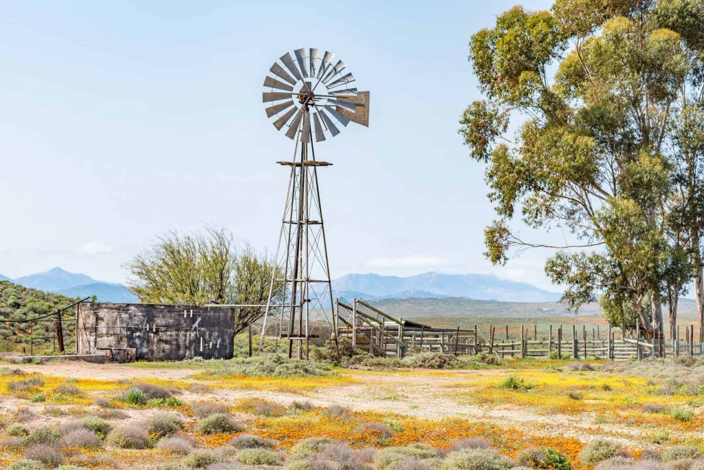 Why groundwater is key to South Africa's water security