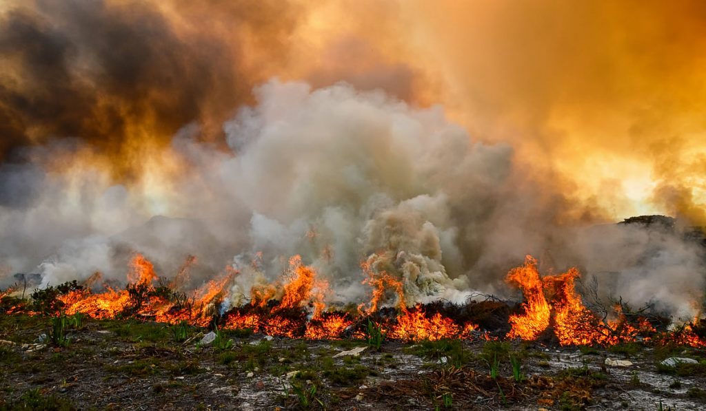 Africa’s wildfire season is getting shorter, study suggests Africa’s wildfire season is getting shorter, study suggests