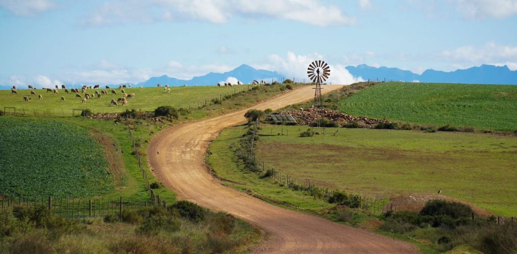 Will El Niño drought hit food prices in South Africa? Earlier rains and grain stocks offer hope Will El Niño drought hit food prices in South Africa? Earlier rains and grain stocks offer hope