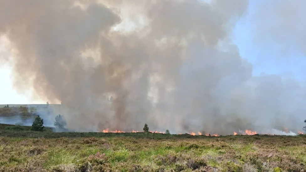 A vegetation fire stretches across the landscape, with a low line of flames visible along the horizon. Thick grey and brown smoke rises high into the sky, partially obscuring the background.