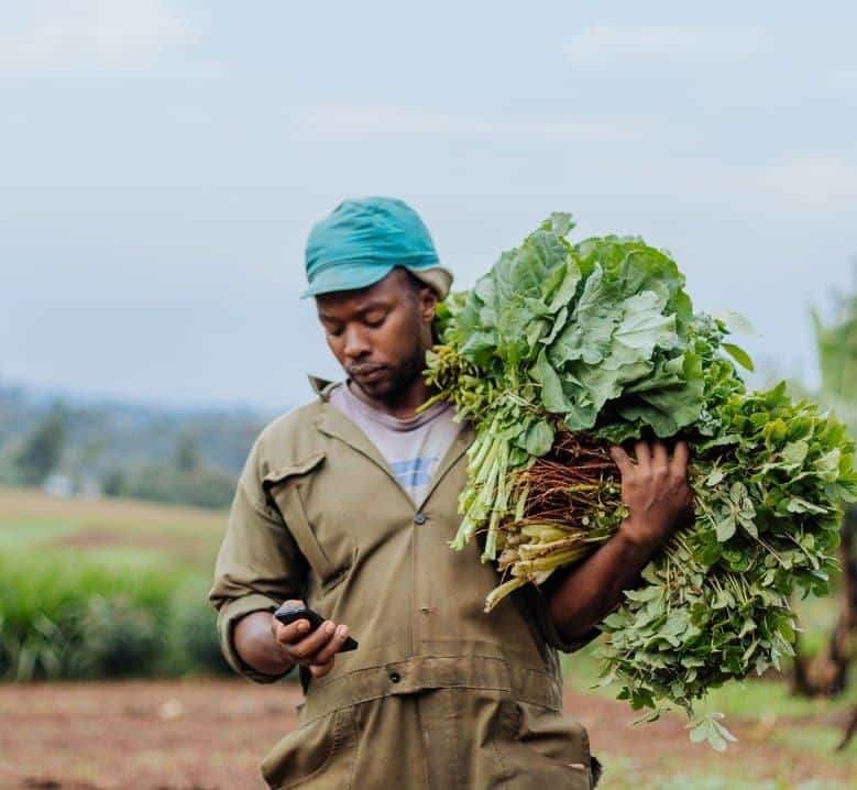 Acumen Raises Additional $90M for African Climate-Resilient Agriculture Fund, Eyes North Africa Expansion Acumen Raises Additional $90M for African Climate-Resilient Agriculture Fund, Eyes North Africa Expansion