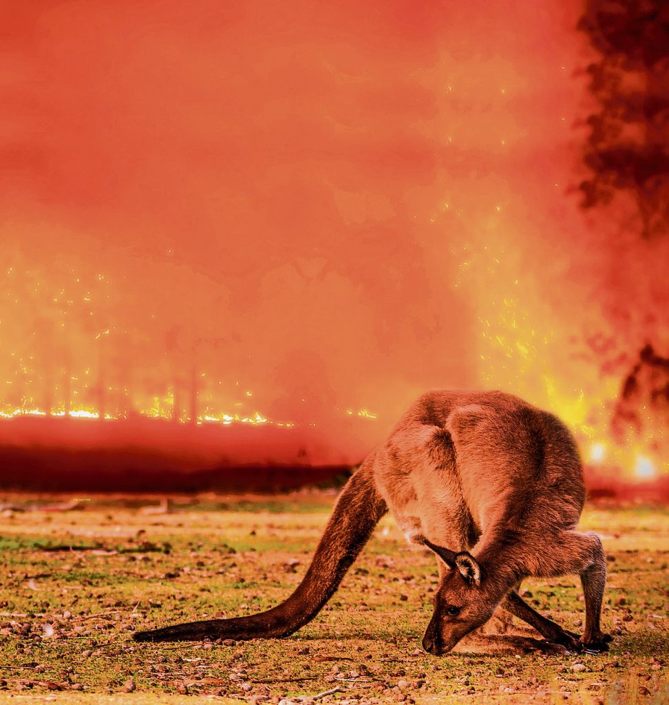 Major emitters knew of fossil fuel
dangers decades earlier than claimed Major emitters knew of fossil fuel dangers decades earlier than claimed