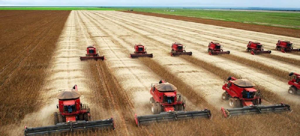 Brazil to strengthen role in global agricultural trade over next decade