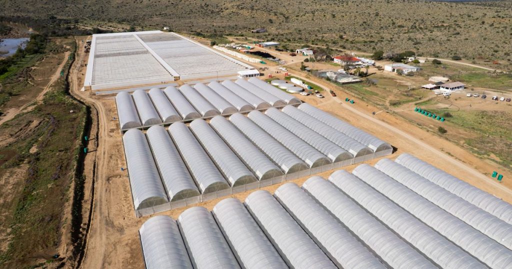 Amazon signs 1.95 million carbon removal deal in South Africa